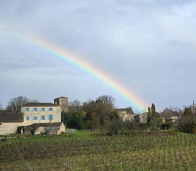 Le Clos Saint Georges Donnazac エクステリア 写真